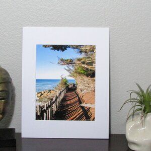 NWT Photography Print Matted - Mendocino Coast California Trail 11"x14"